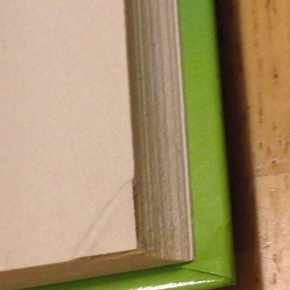 3 for $10 book sale!  Pony Book -  Dangerous Summer 2 - Picture 5 of 5